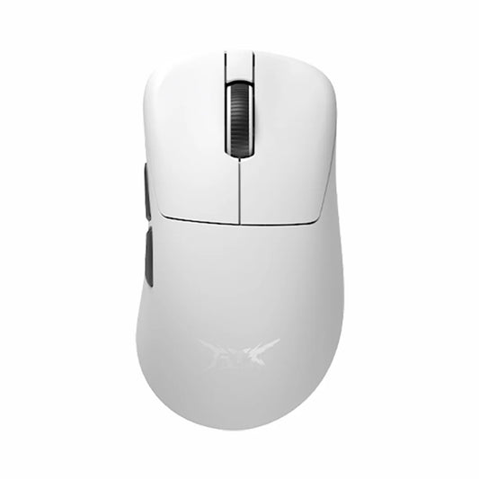Z1